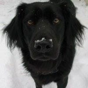 Meet your Posher, Ed